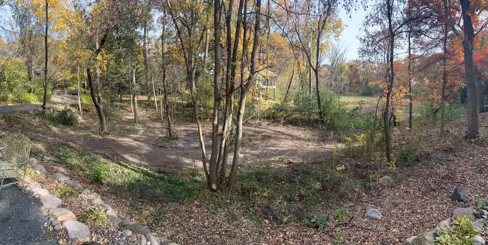 Brush Clearing image