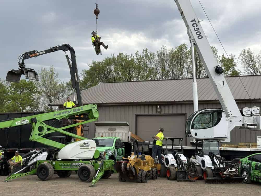 Commercial Tree Services image