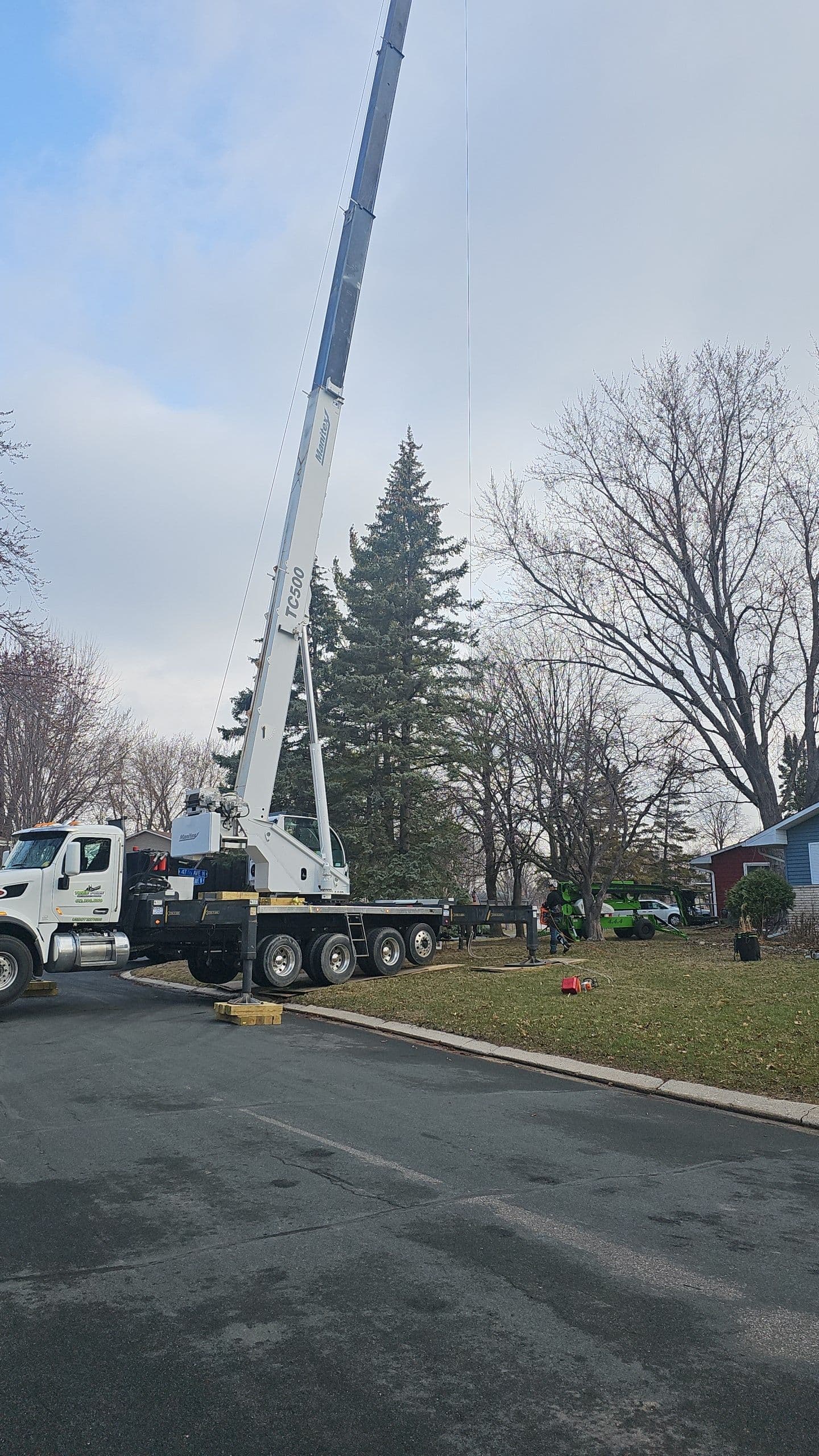 Ensuring Safety with Expert Tree Removal in Hopkins