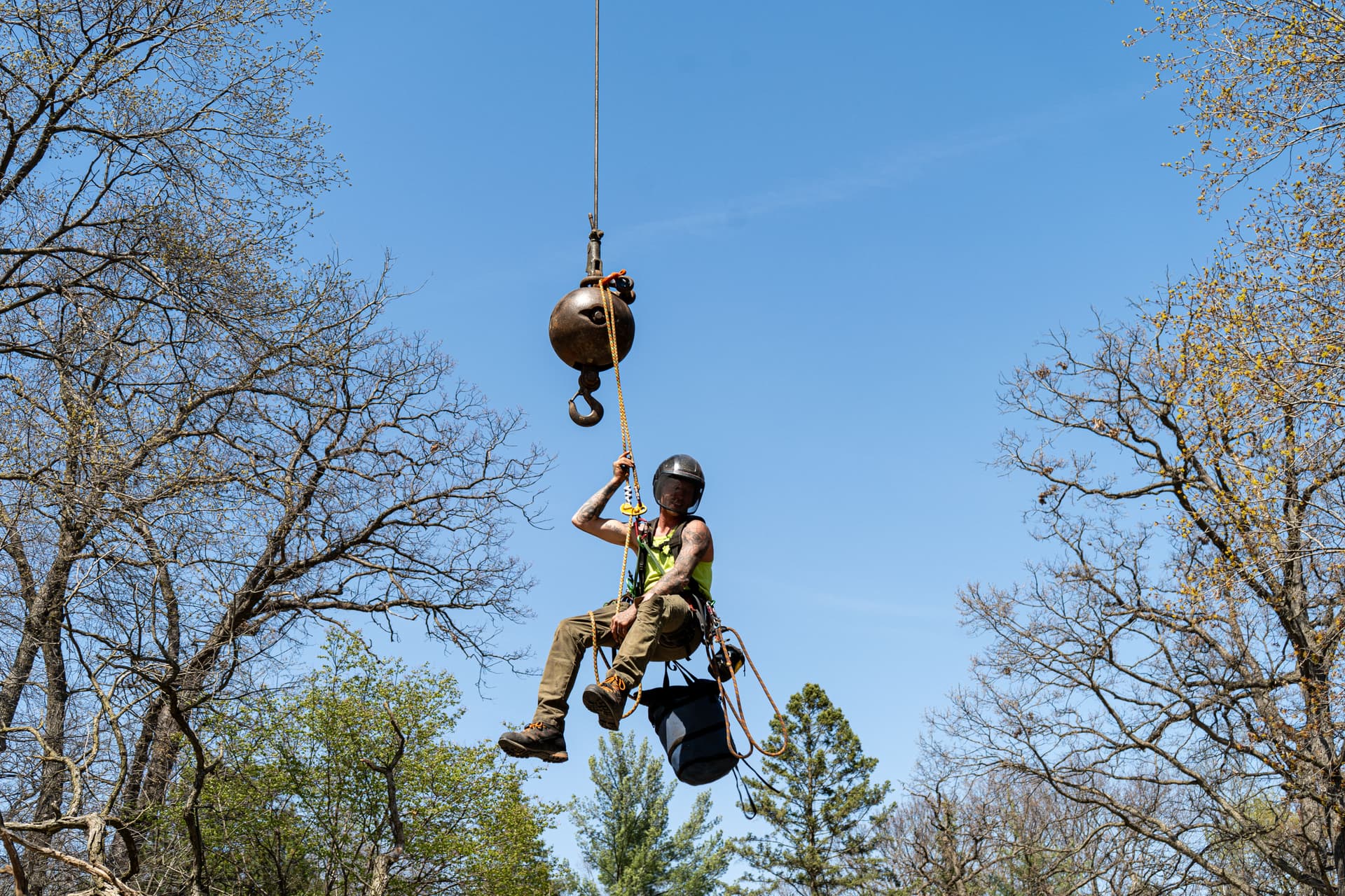 Crane-Assisted Tree Removal Right Next to a Home in Minnetonka image