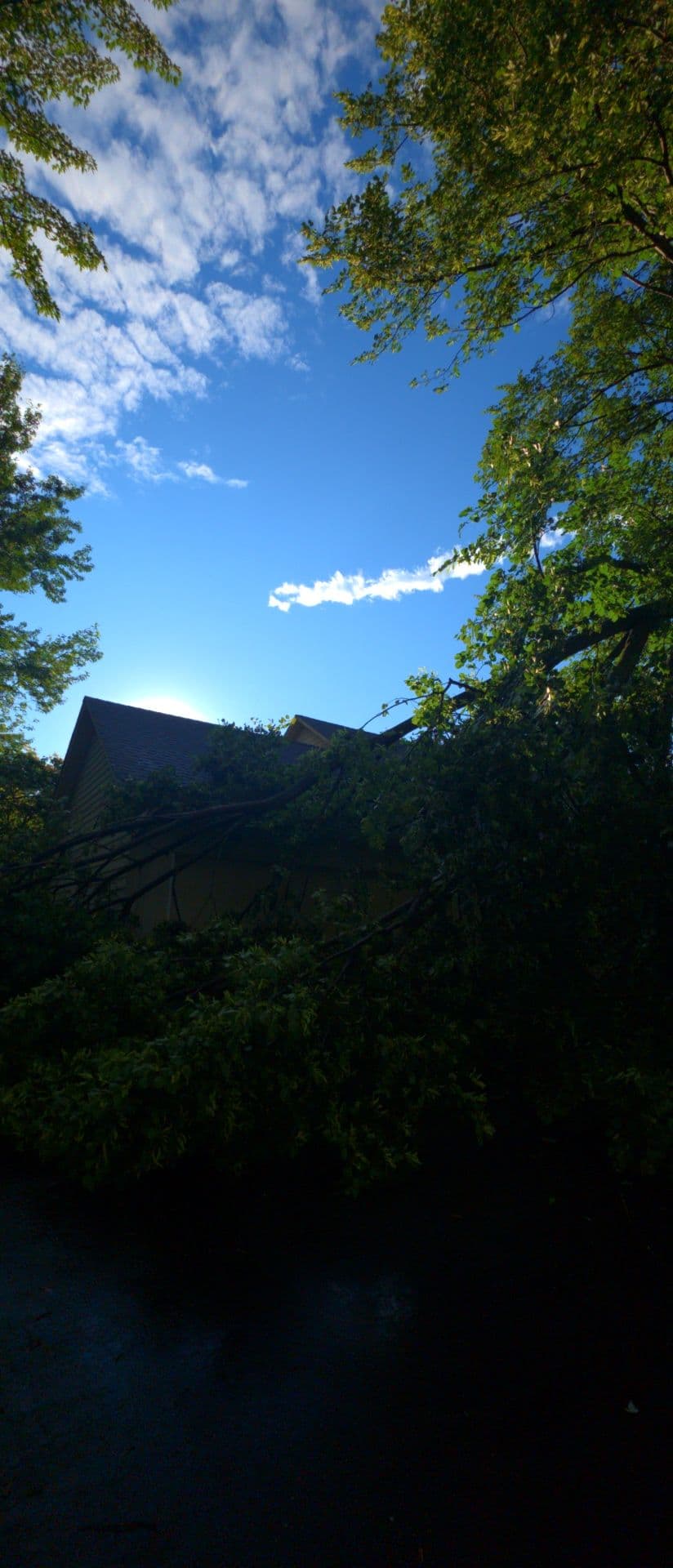 Gallery photos for Storm Damage Cleanup Across the Region - Here's What We've Been Up To: Image #4