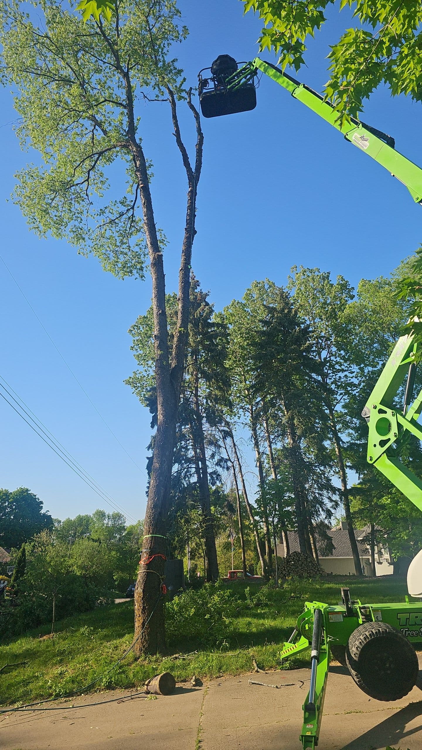 Storm Damage Doesn't Wait for Holidays - Neither Do We image