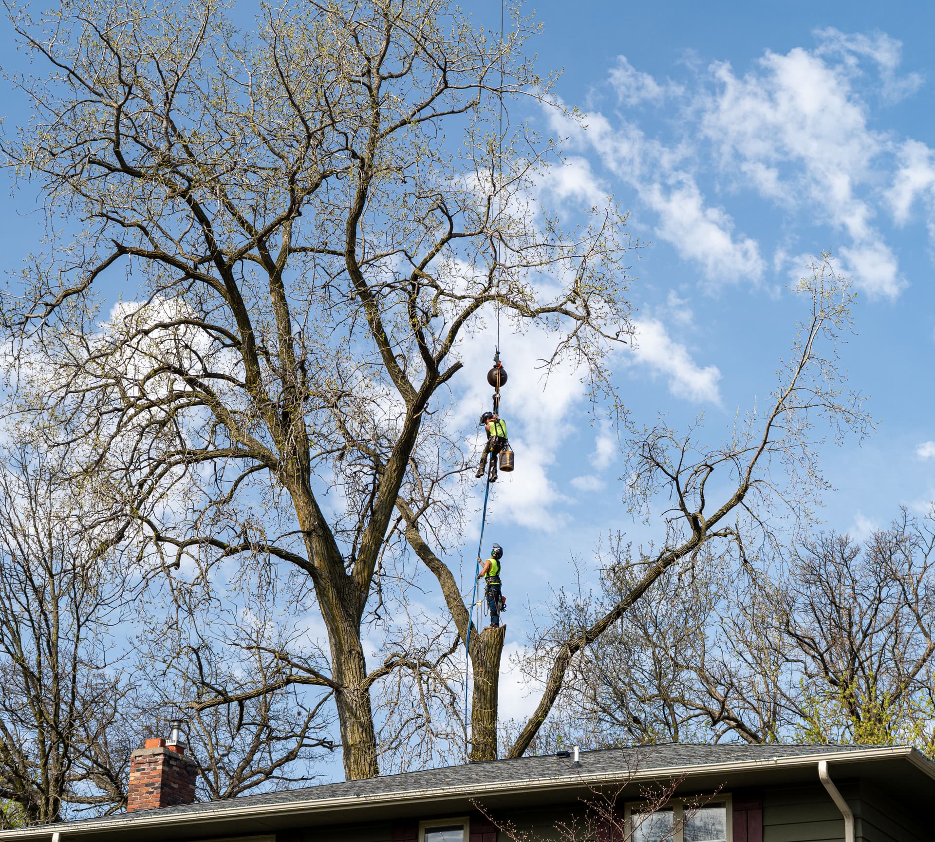 Gallery photos for Crane-Assisted Tree Removal Right Next to a Home in Minnetonka: Image #2