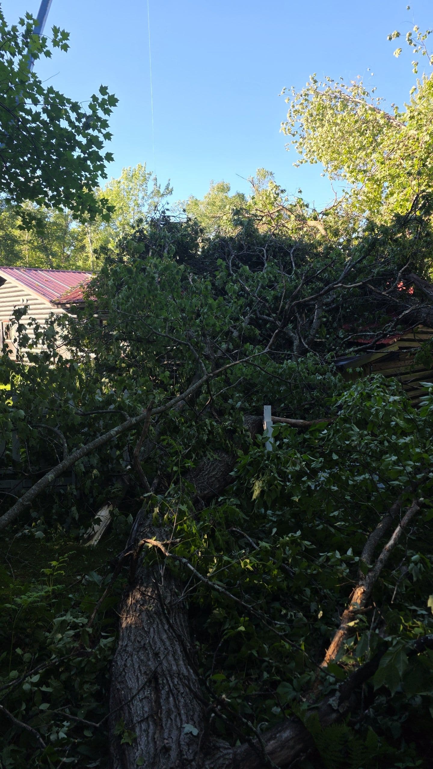 Gallery photos for Storm Damage Cleanup Across the Region - Here's What We've Been Up To: Image #2