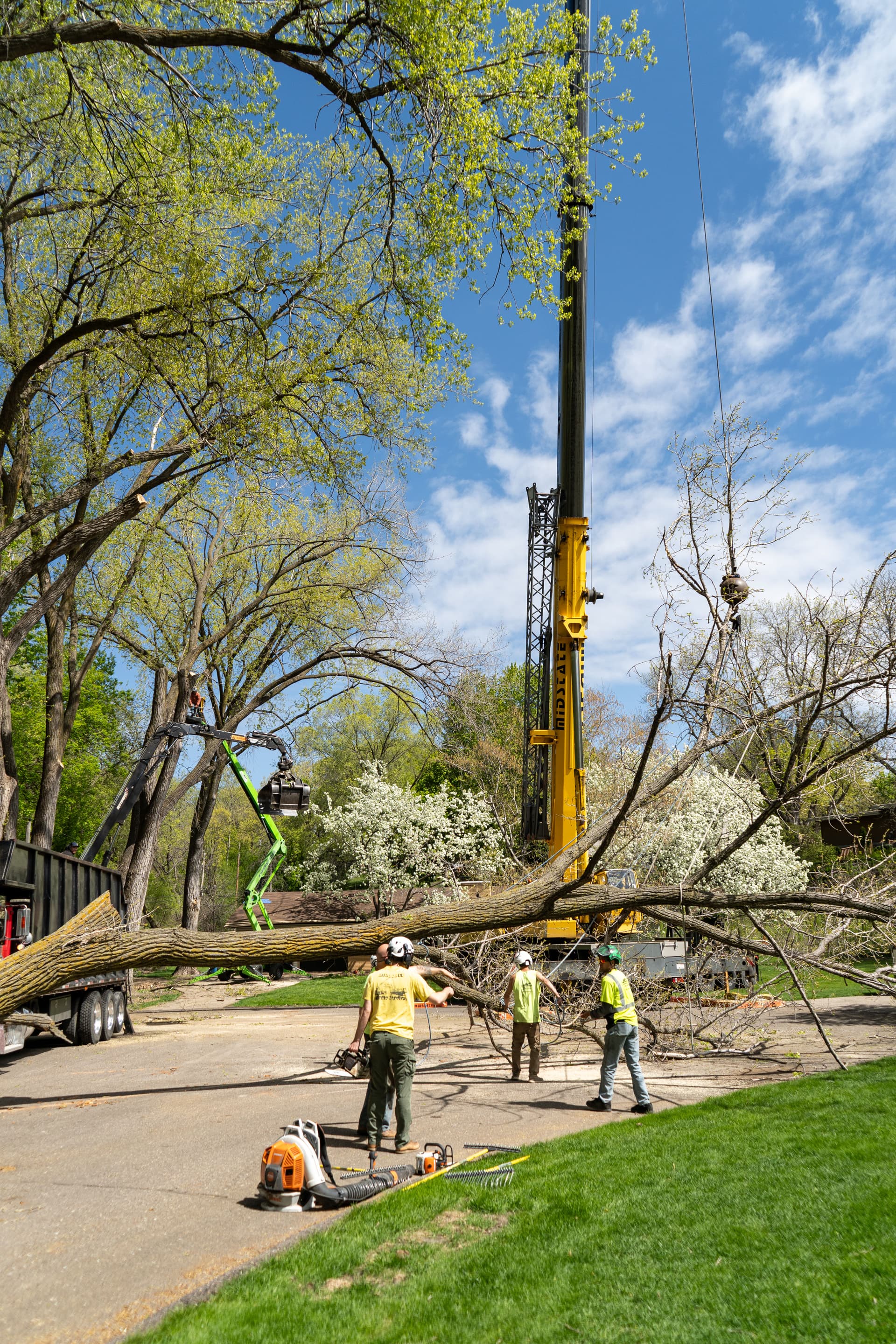 Gallery photos for 120-Ton Crane Cottonwood Removal in Minnetonka MN: Image #2