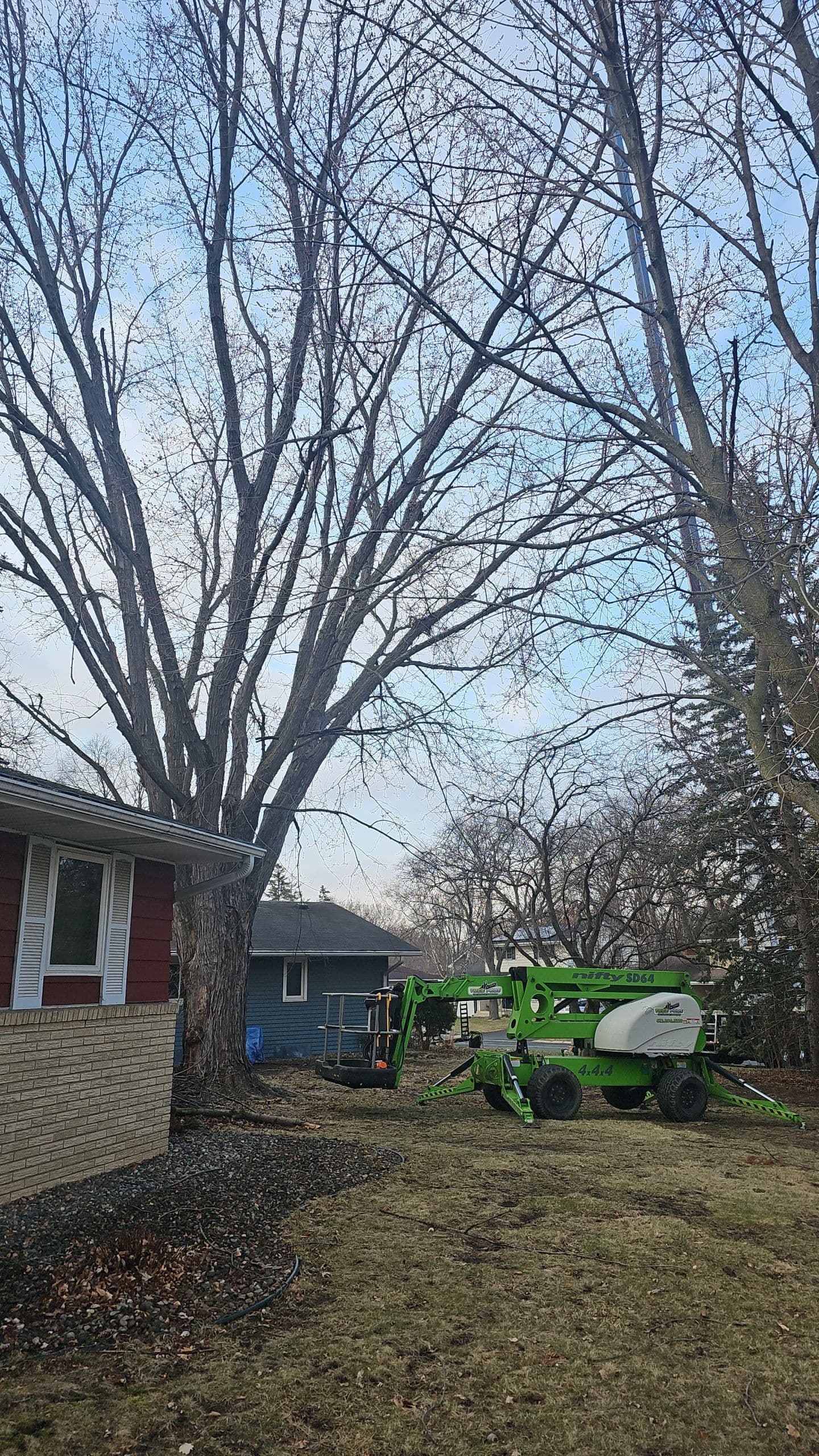 Project Ensuring Safety with Expert Tree Removal in Hopkins image