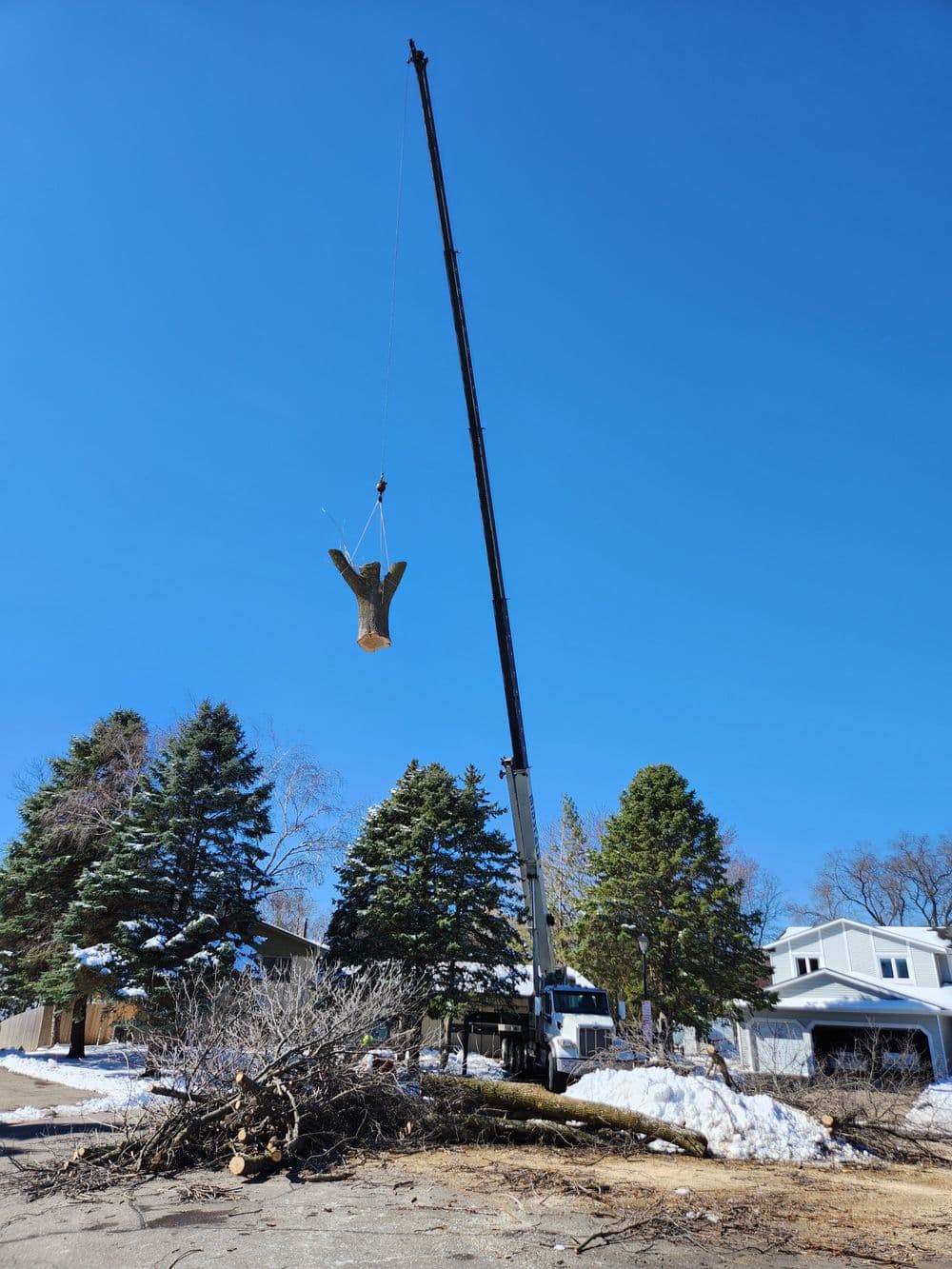 Crane lifting a wooden eagle statue near snow-covered trees and a residential area.