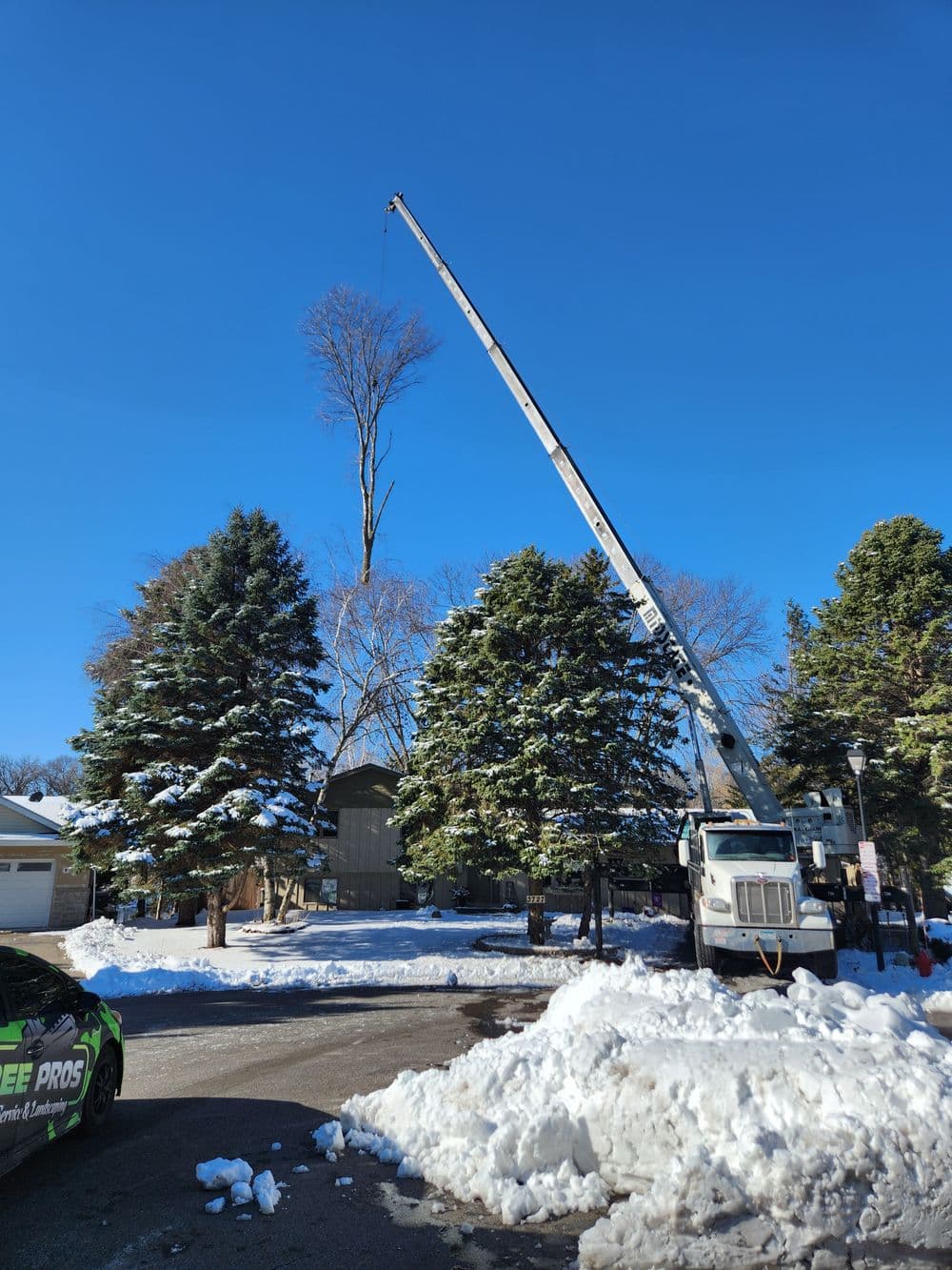 Tree removal in winter using a crane, snowy landscape, and evergreen trees in the background.
