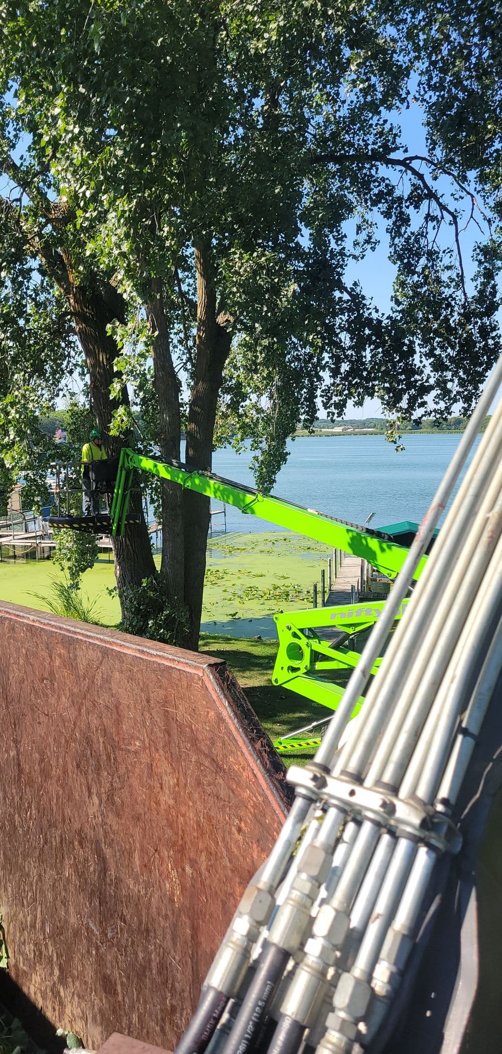 Tree trimming with bright green lift near a peaceful lake on a sunny day.
