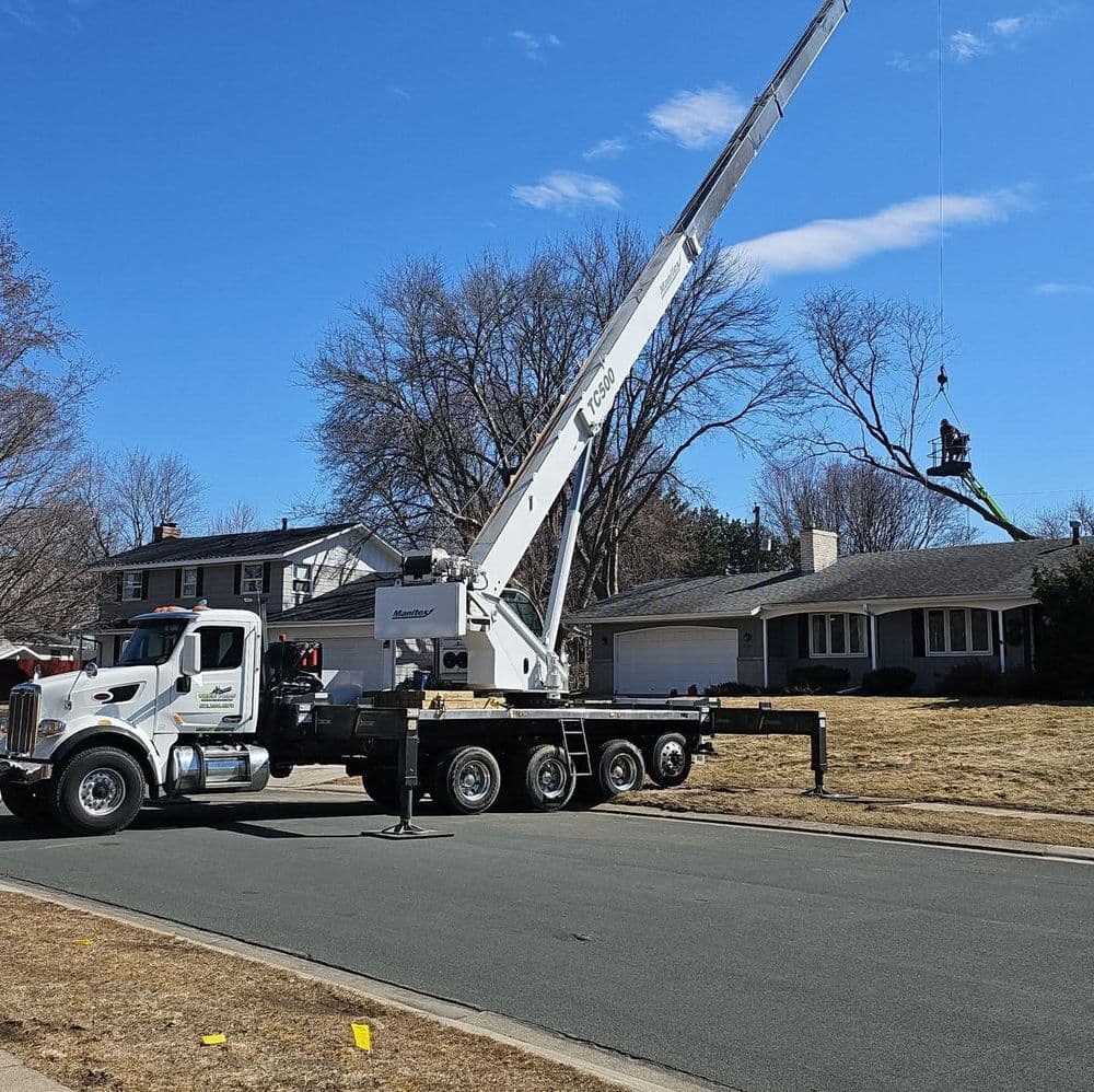 Residential Tree Care image