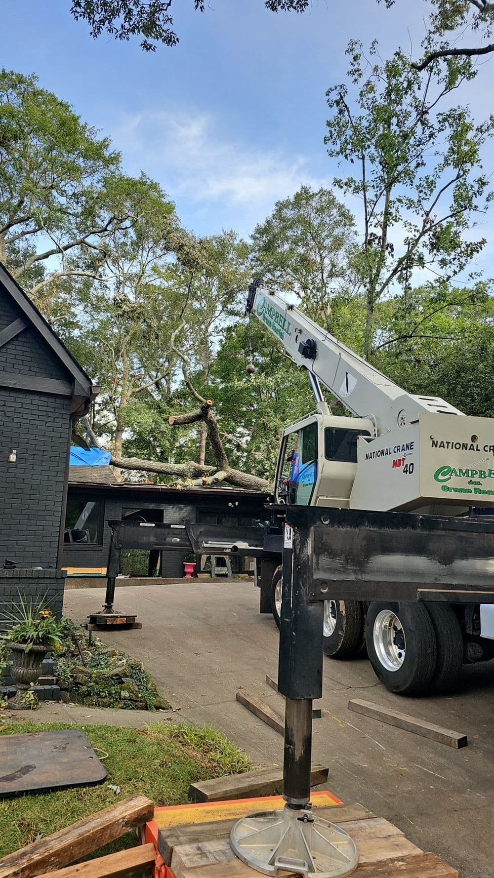 Hazardous Tree Removal image