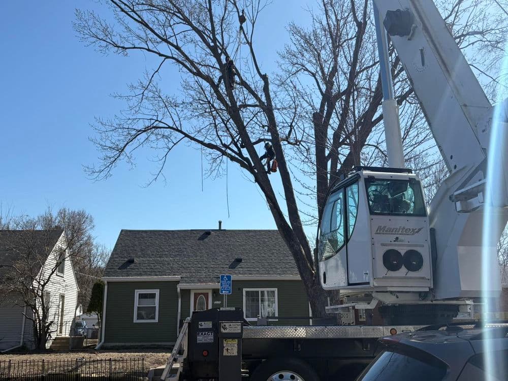 Tree trimming service using a bucket truck near a house on a sunny day.